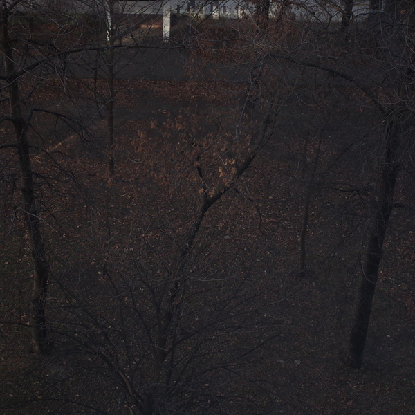 526 :: Waiting for a bit of snow